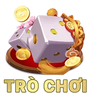 Biểu tượng quan sát
